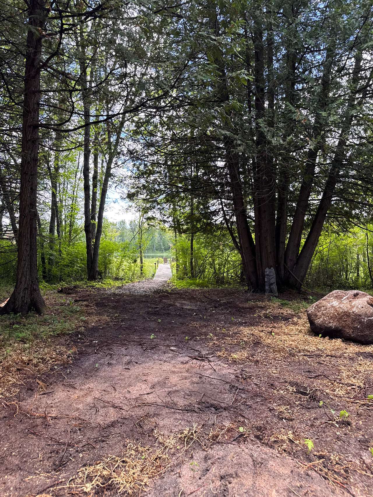 Picture of the site