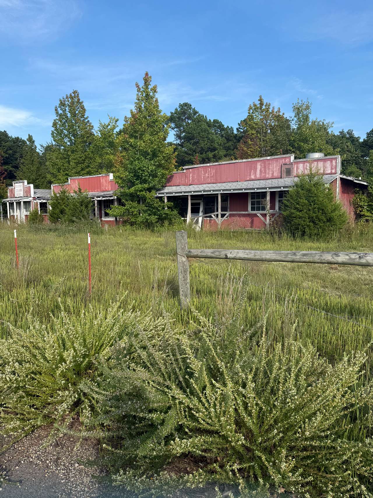 Picture of the site