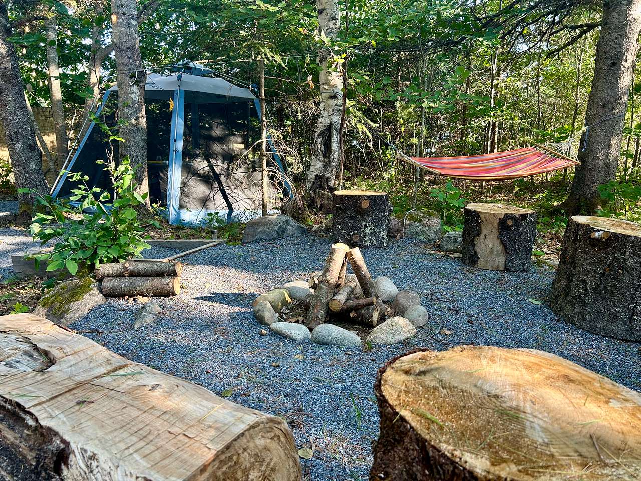 Picture of the site