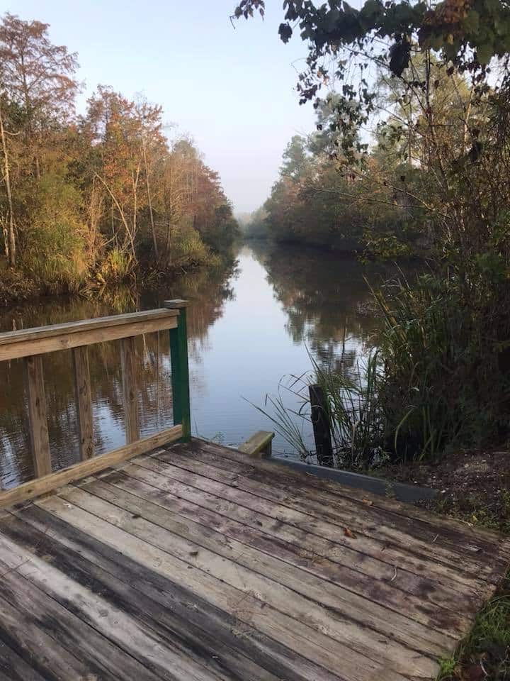 Picture of the site