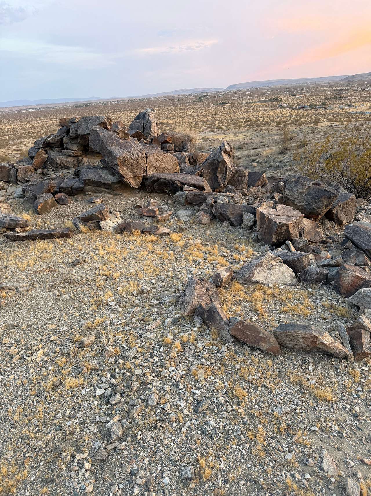 Picture of the site