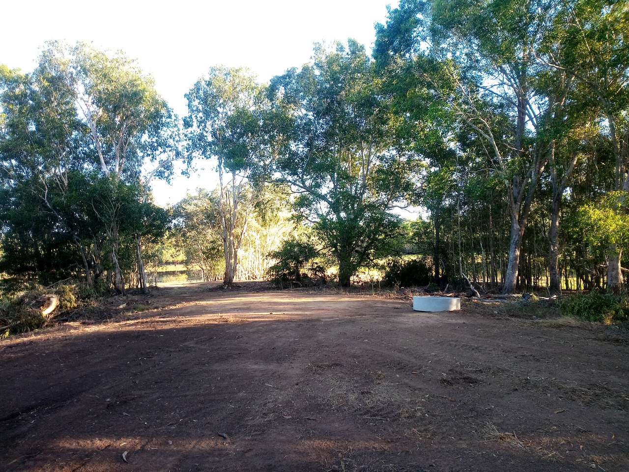 Picture of the site