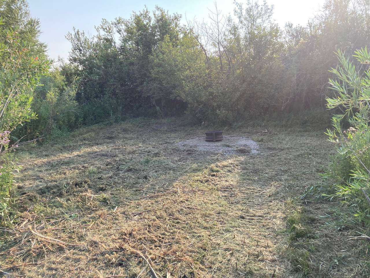 Picture of the site