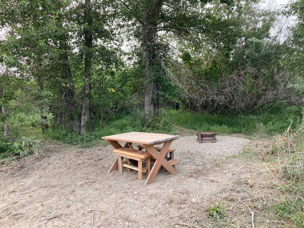 Picture of the site