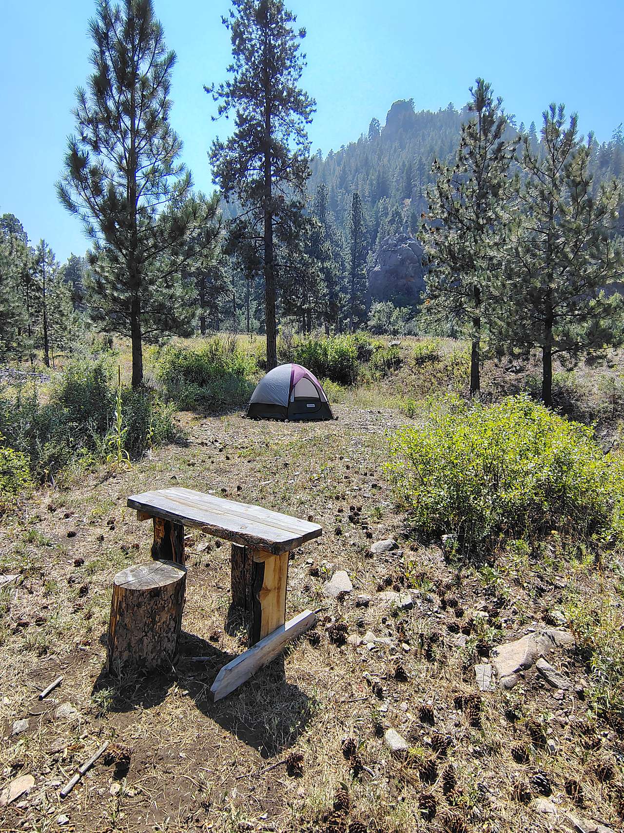 Picture of the site