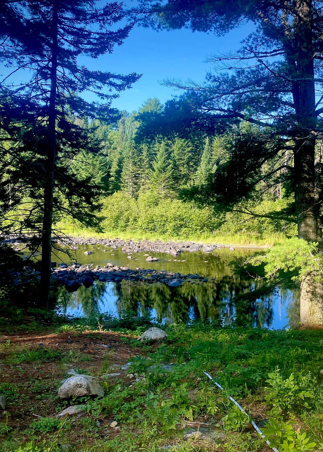 Picture of the site