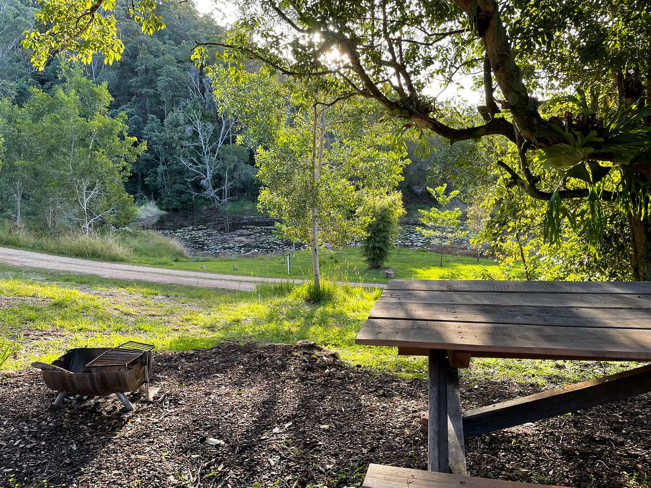 Picture of the site