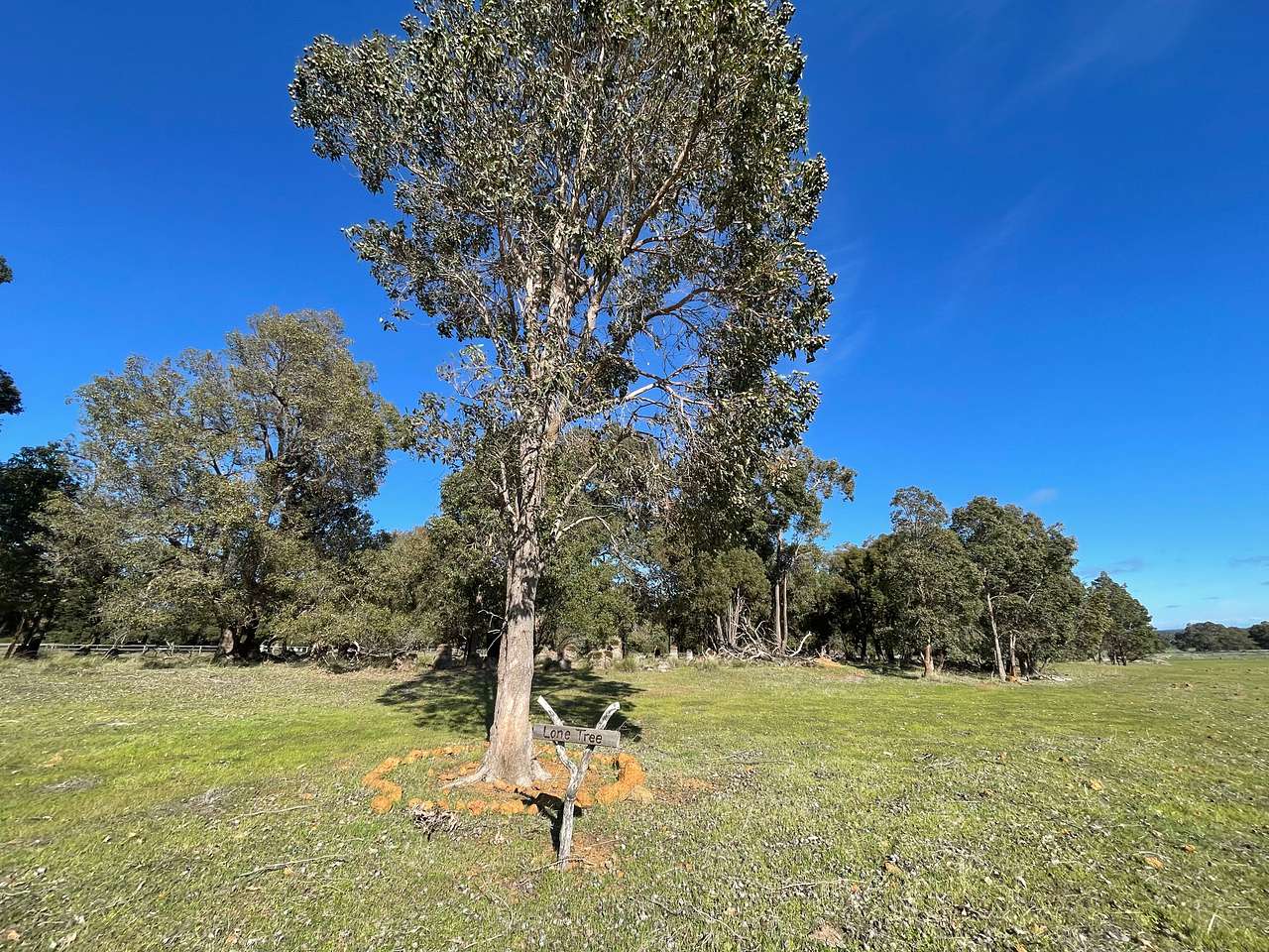 Picture of the site