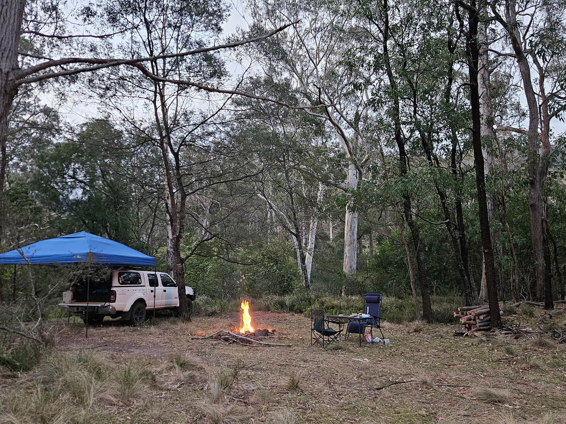 Picture of the site