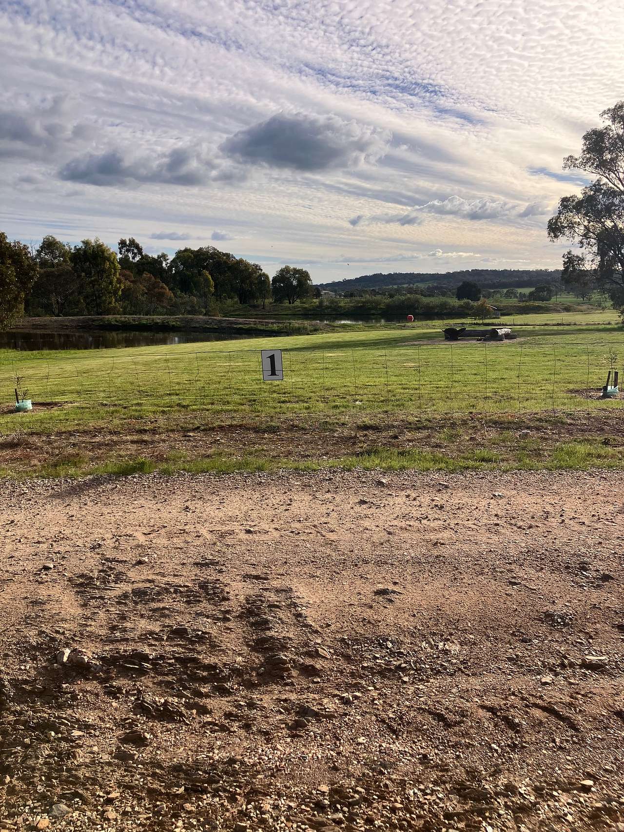Picture of the site