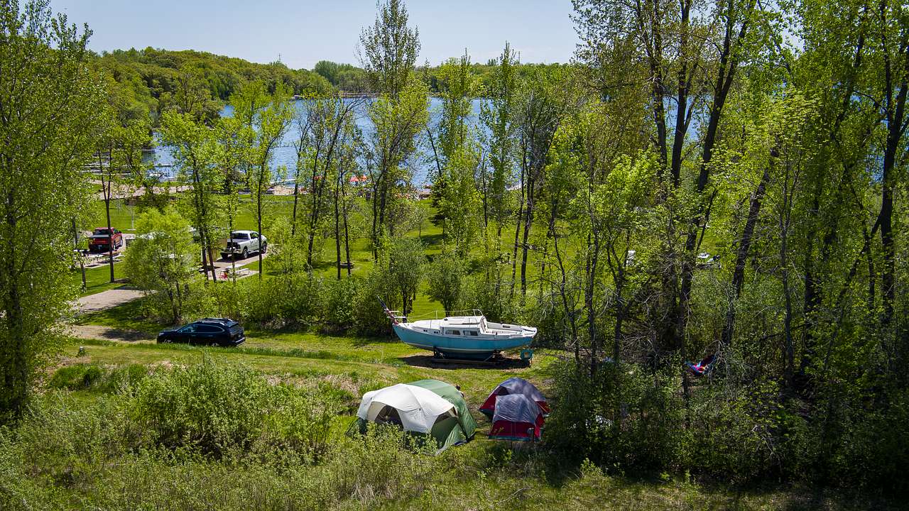 Picture of the site
