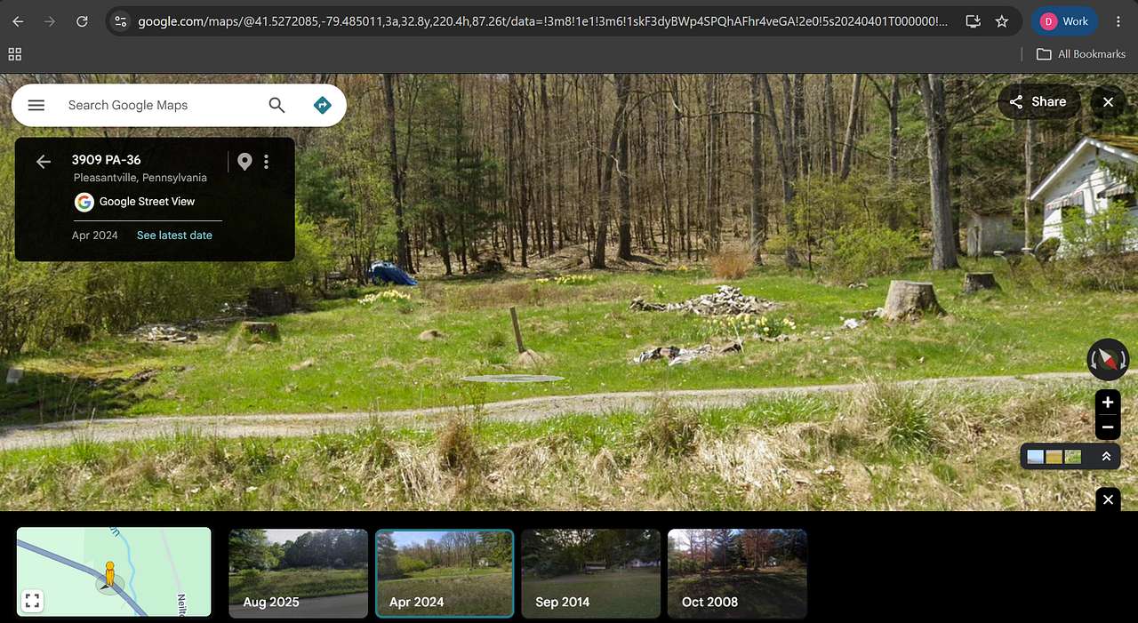 Picture of the site