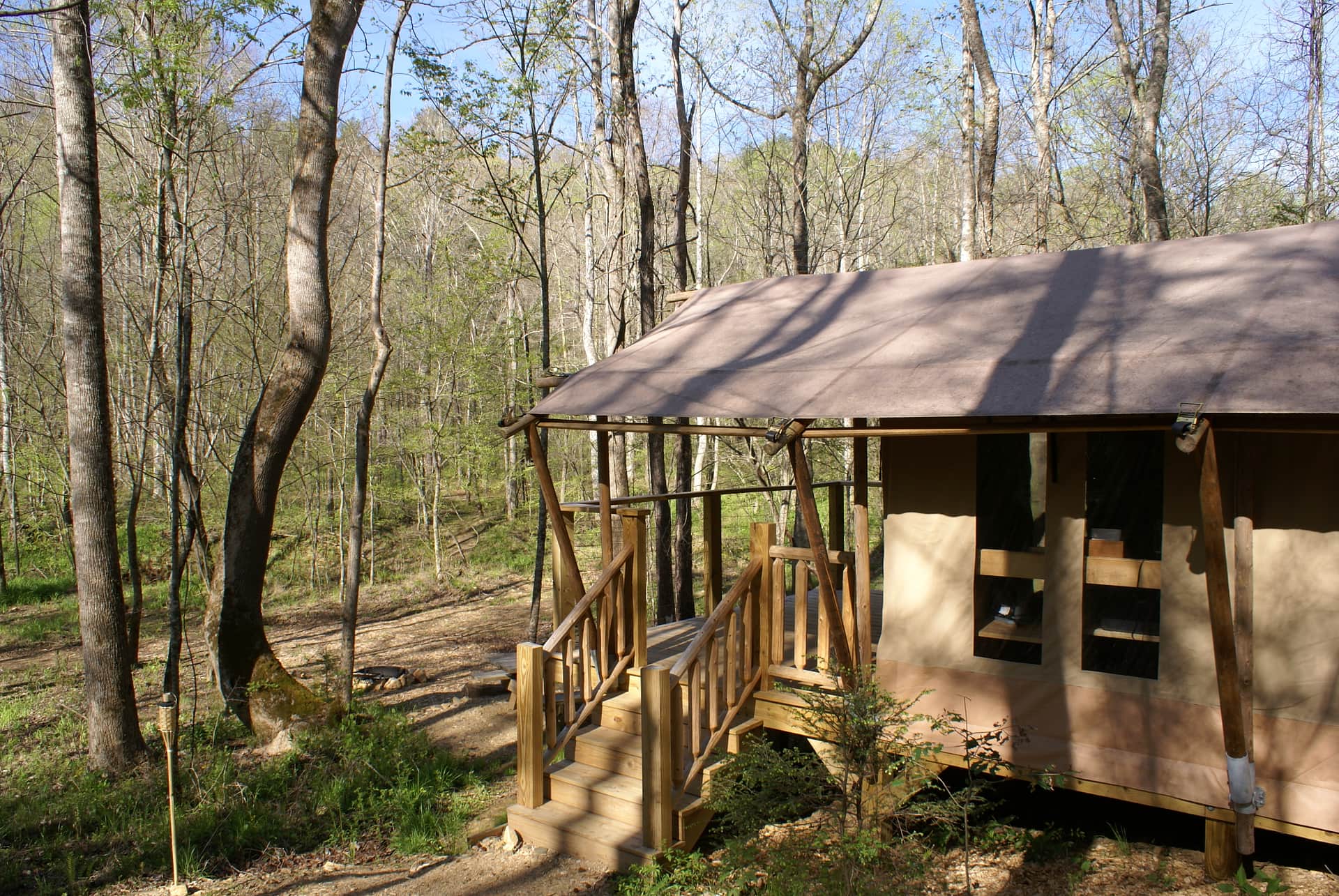 Picture of the site