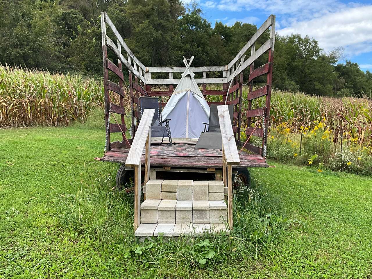 Picture of the site