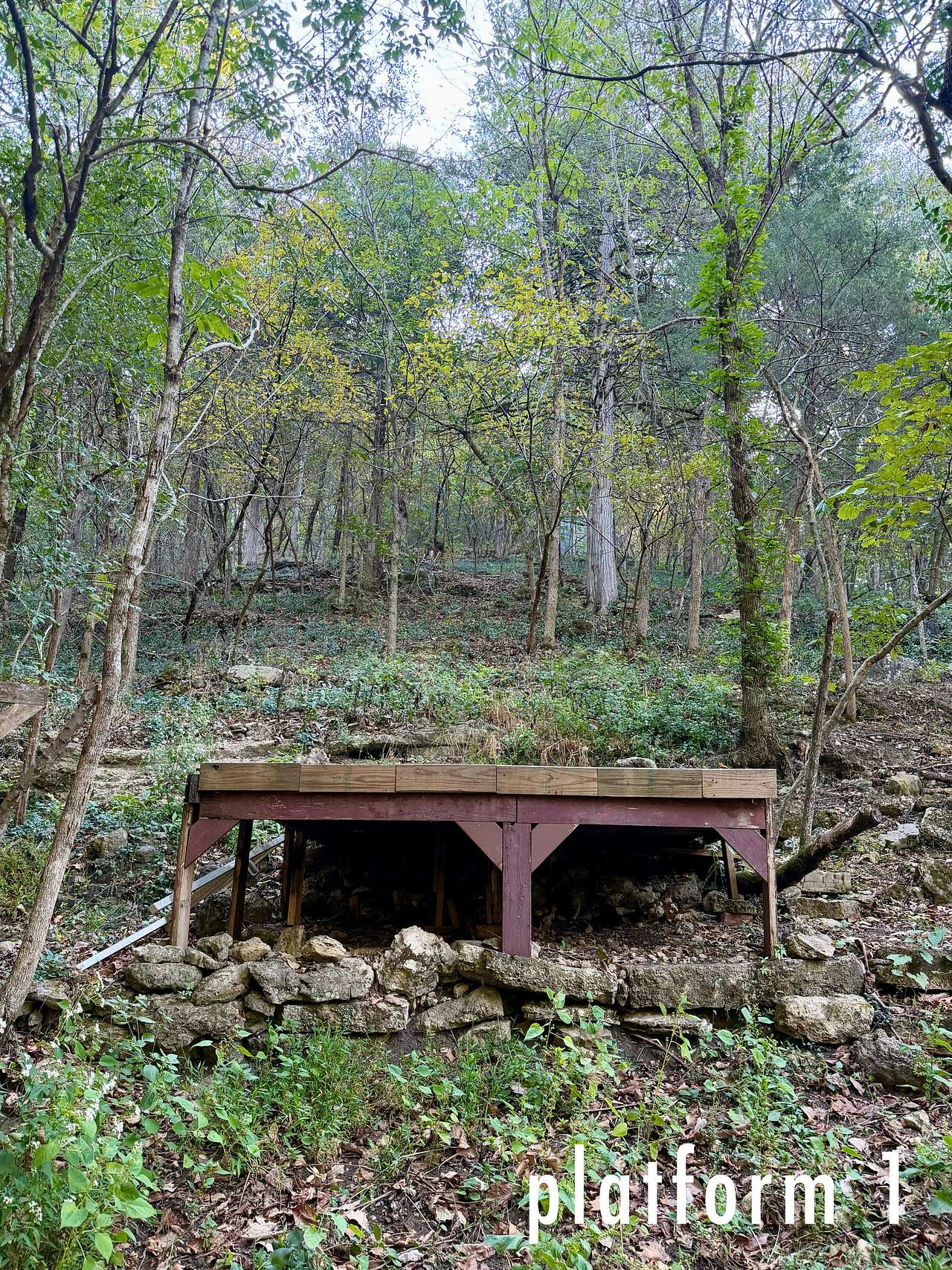Picture of the site