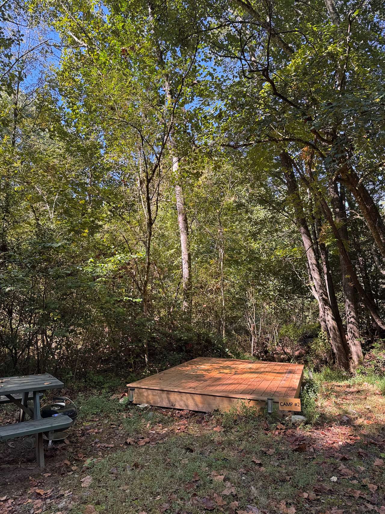 Picture of the site