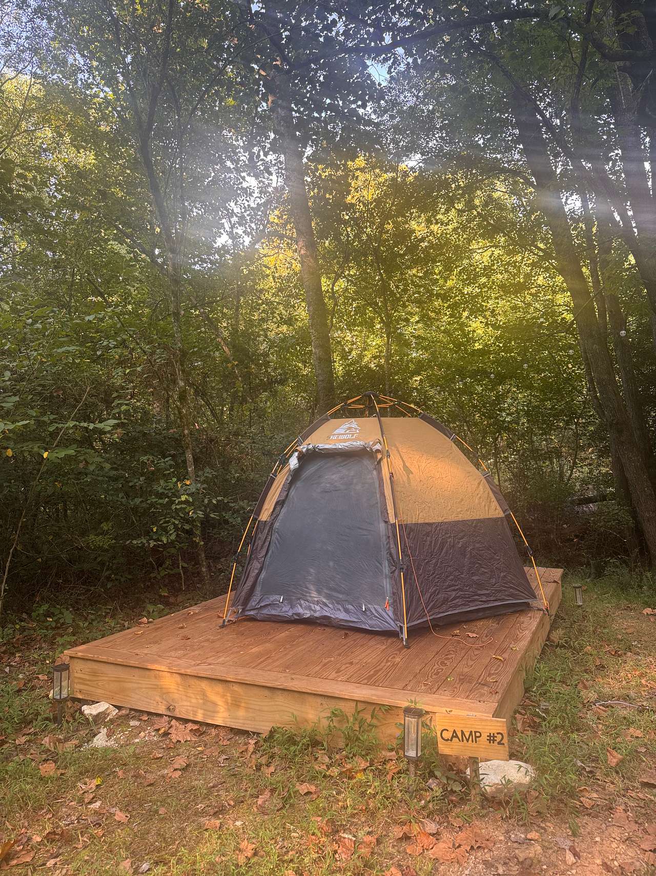 Picture of the site