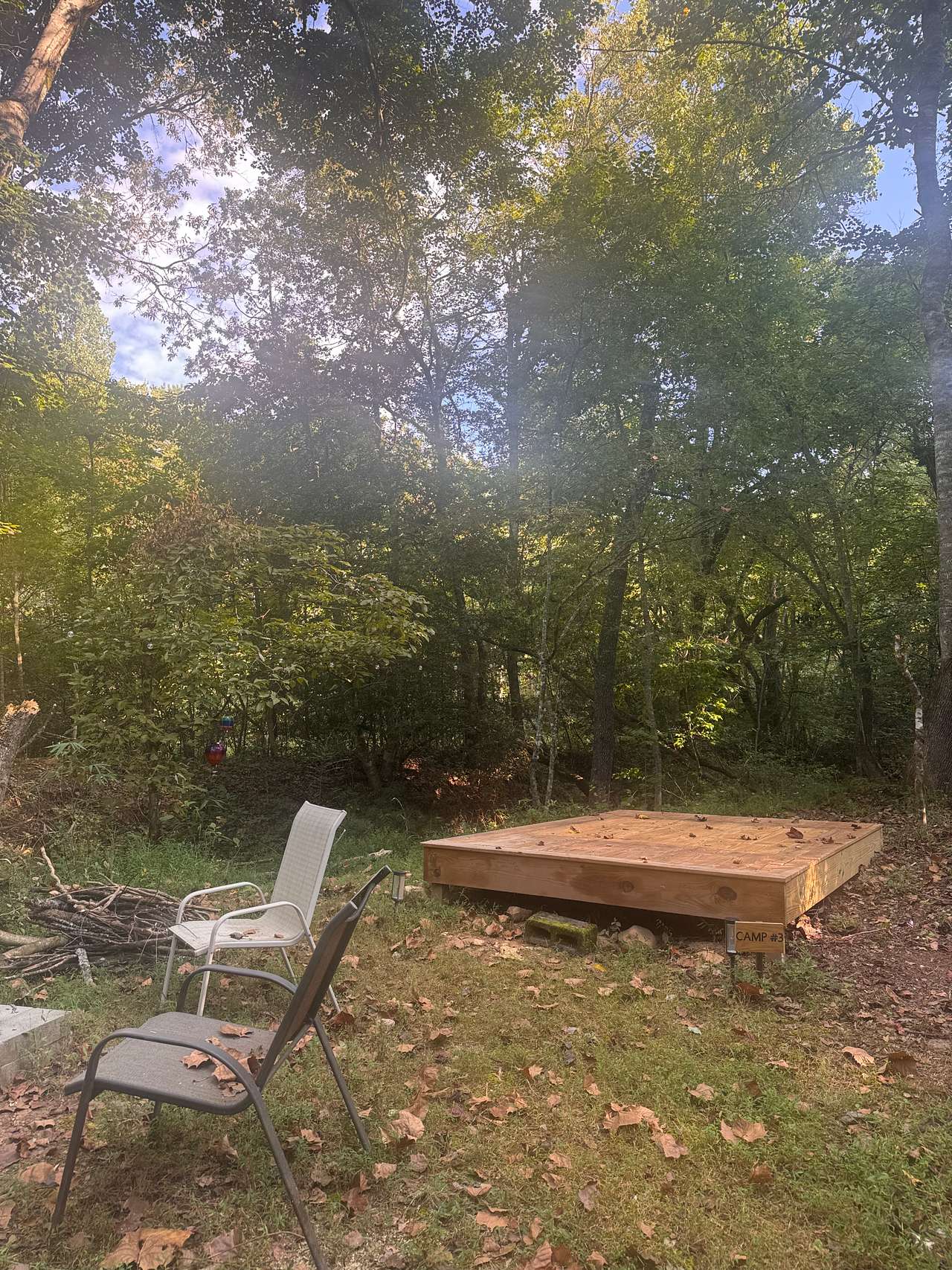 Picture of the site