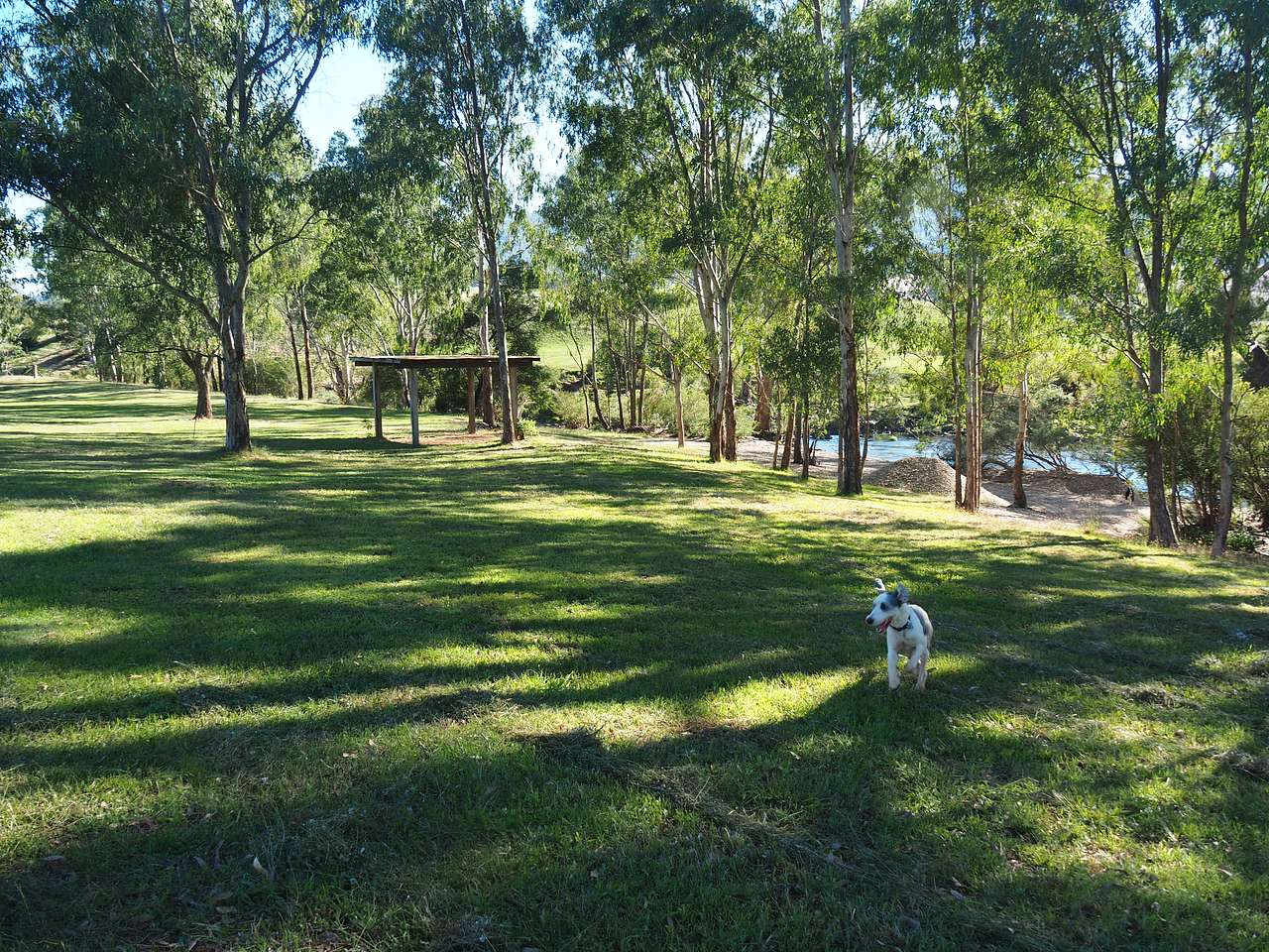 Picture of the site
