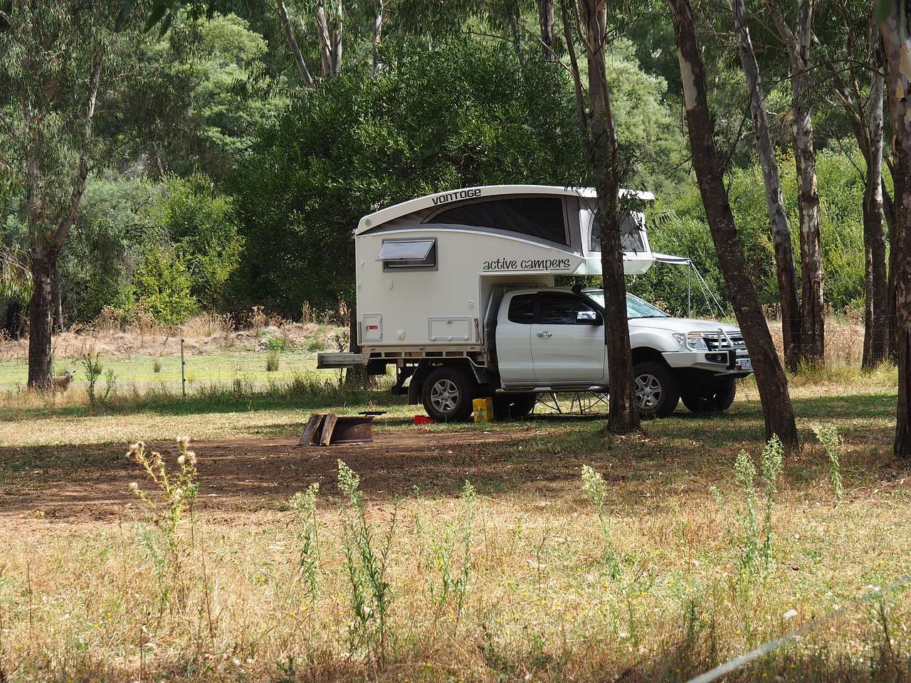 Picture of the site