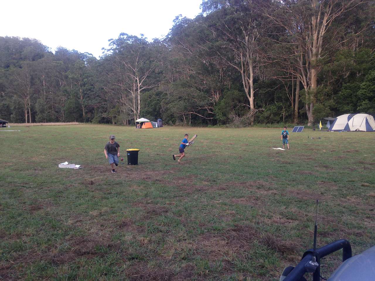 Picture of the site