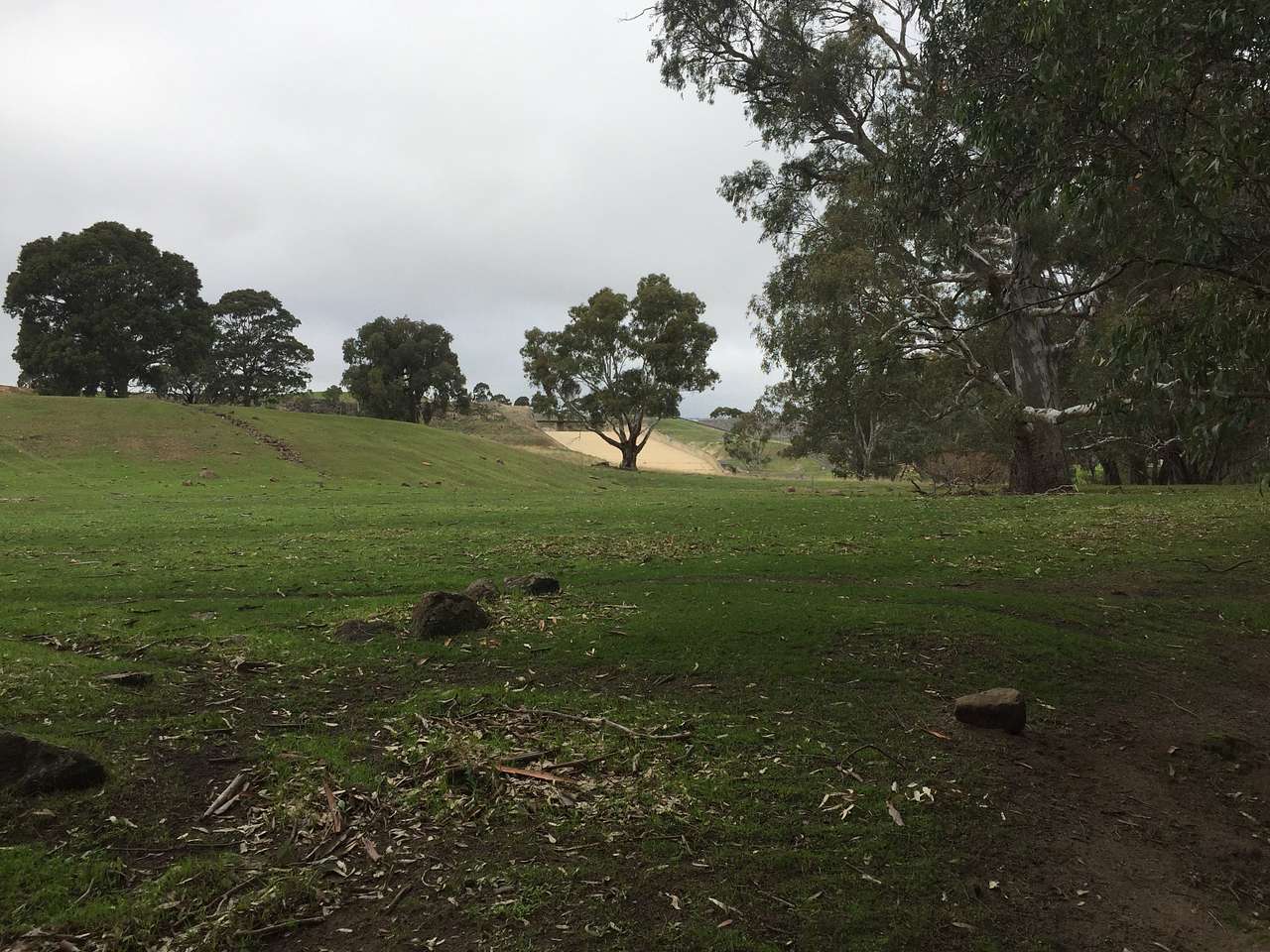 Picture of the site