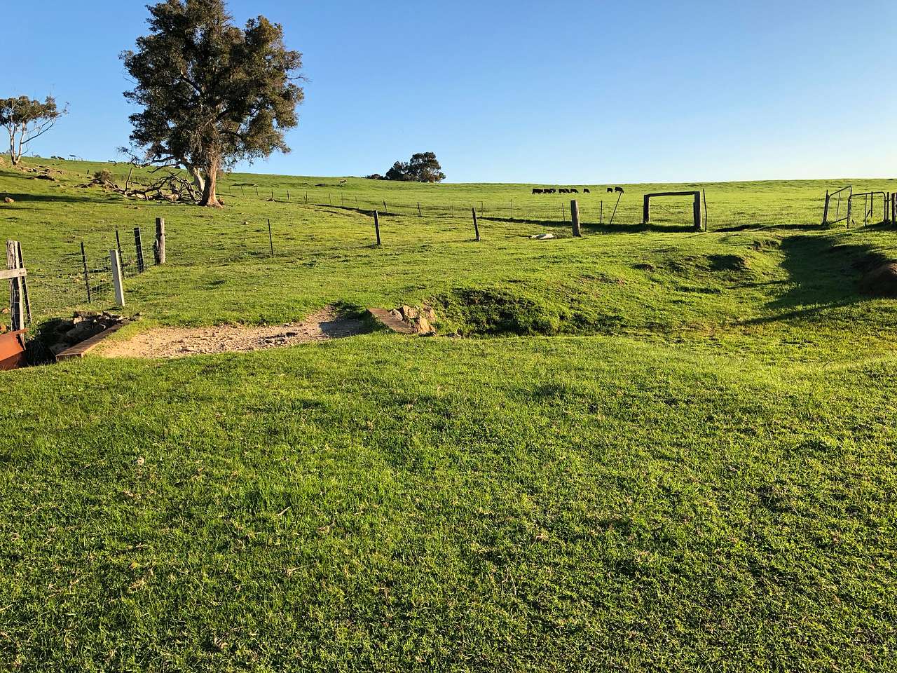 Picture of the site
