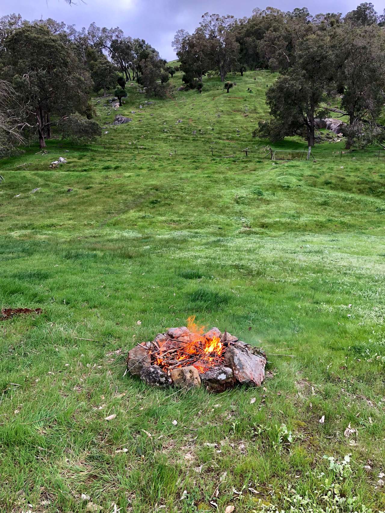 Picture of the site