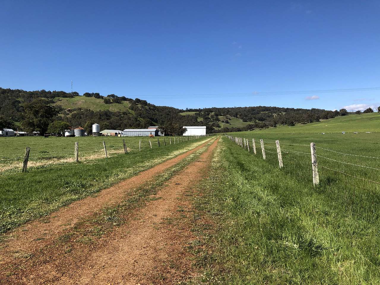 Picture of the site