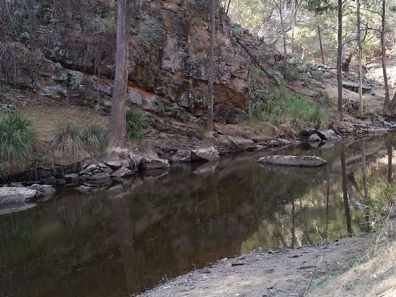 Picture of the site