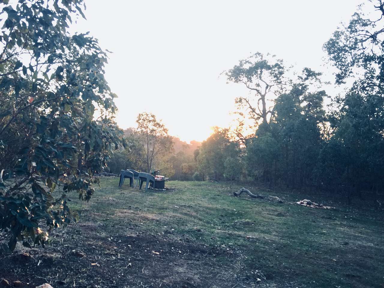 Picture of the site