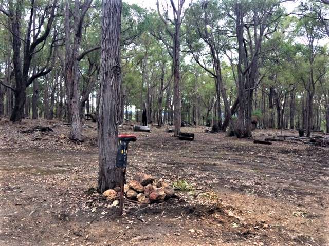 Picture of the site