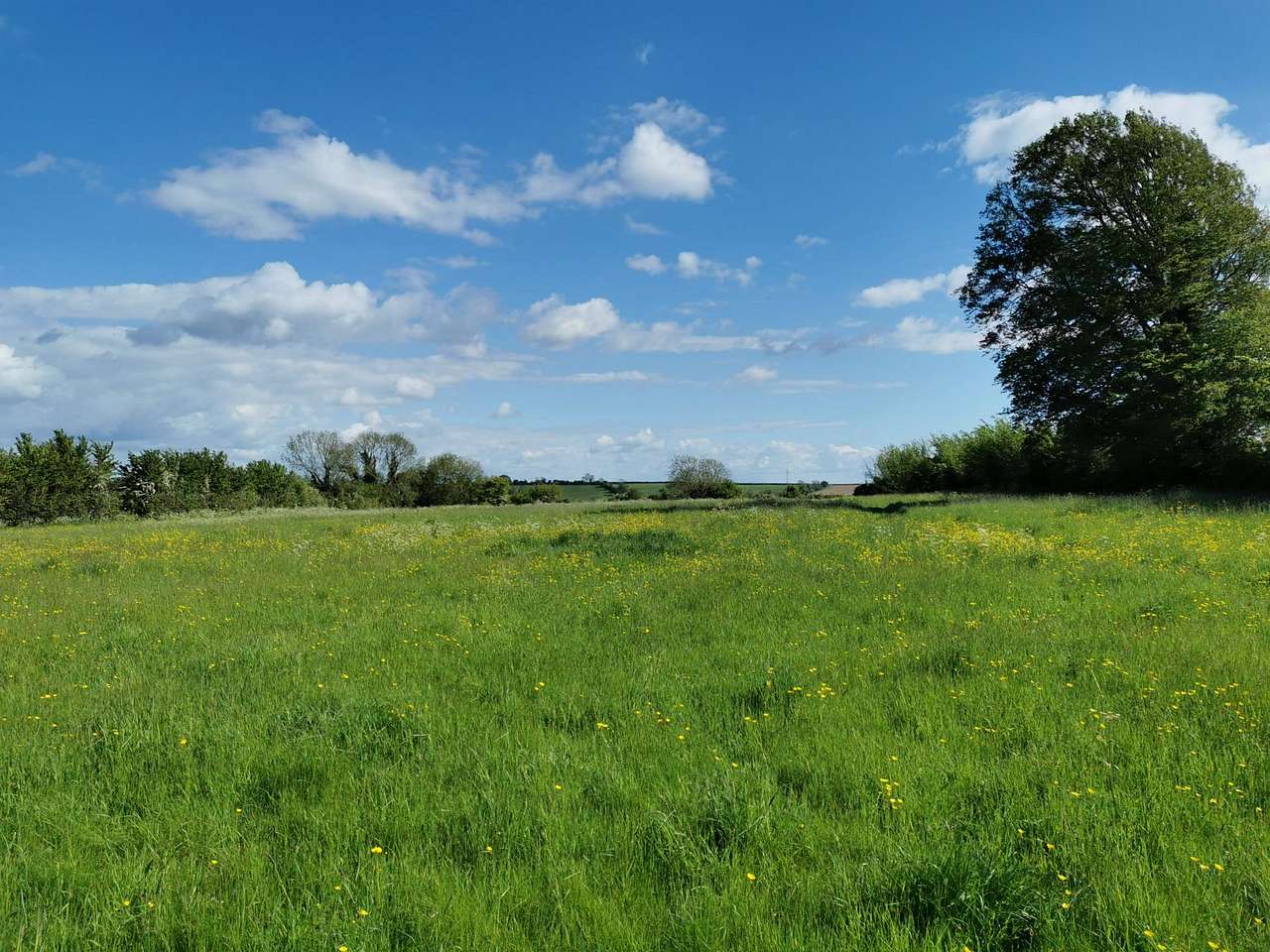 Grass pitch for tents or trailer tents