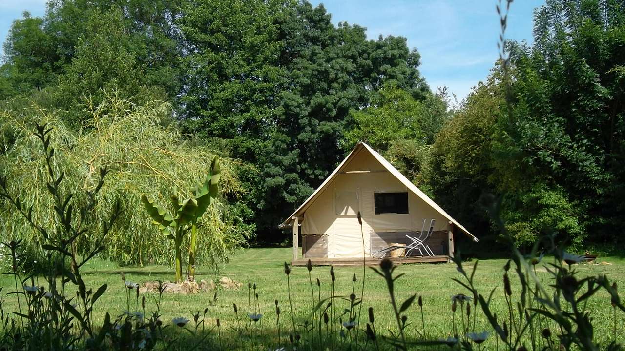 Orchid Lodge