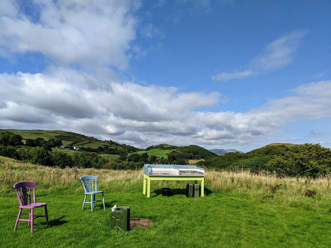 Hazel Mount Fellside