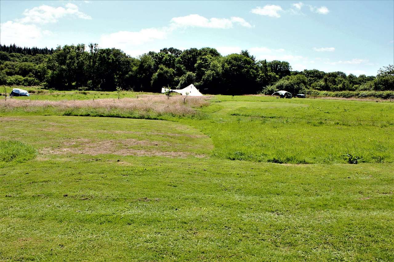 Tent Pitch