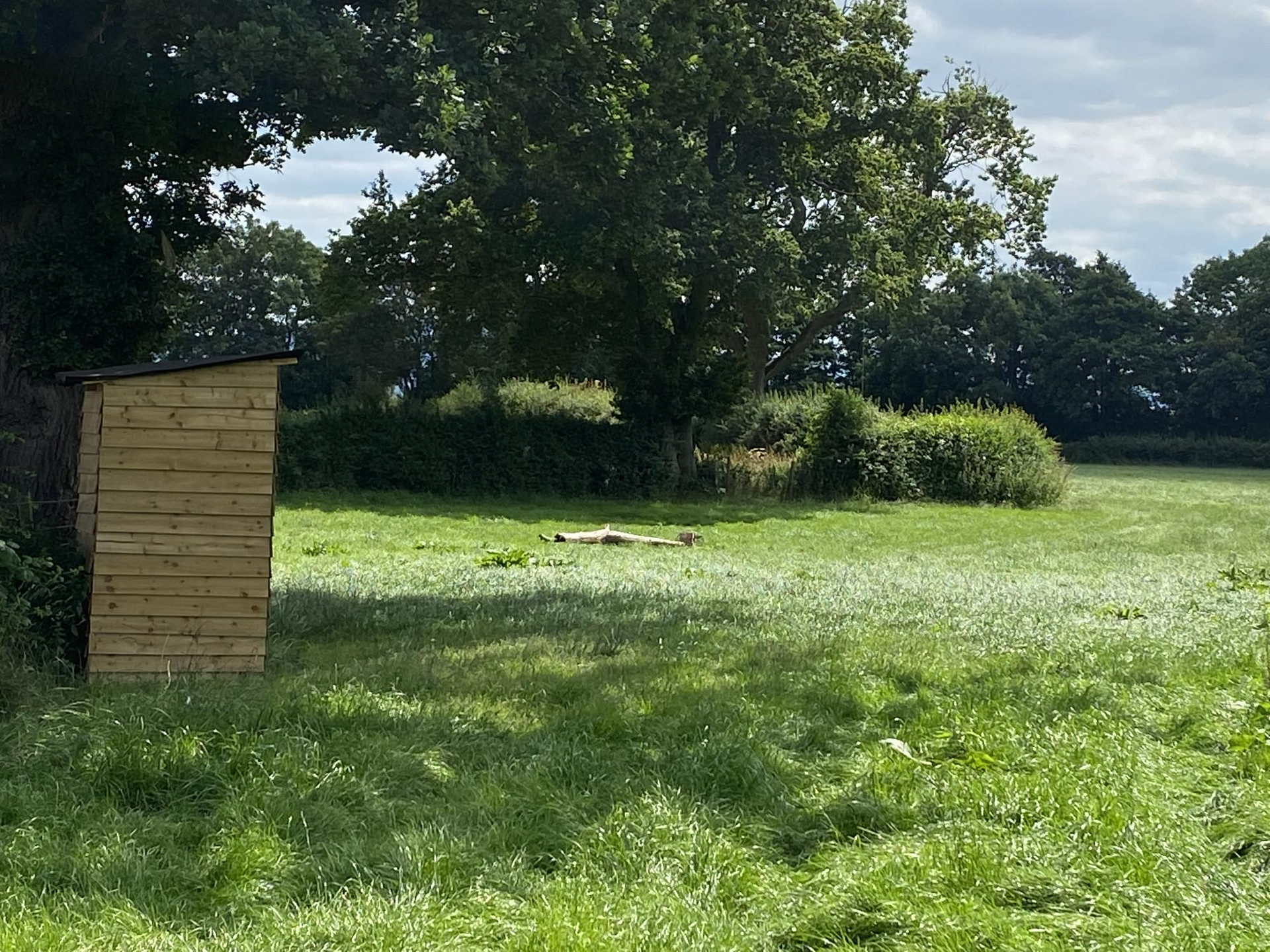 Damson - Grass Pitch (Compost Toilet)
