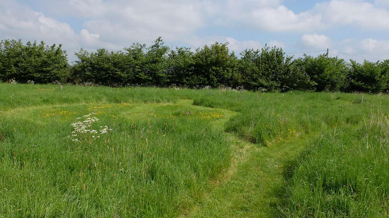 Standard Grass Pitch