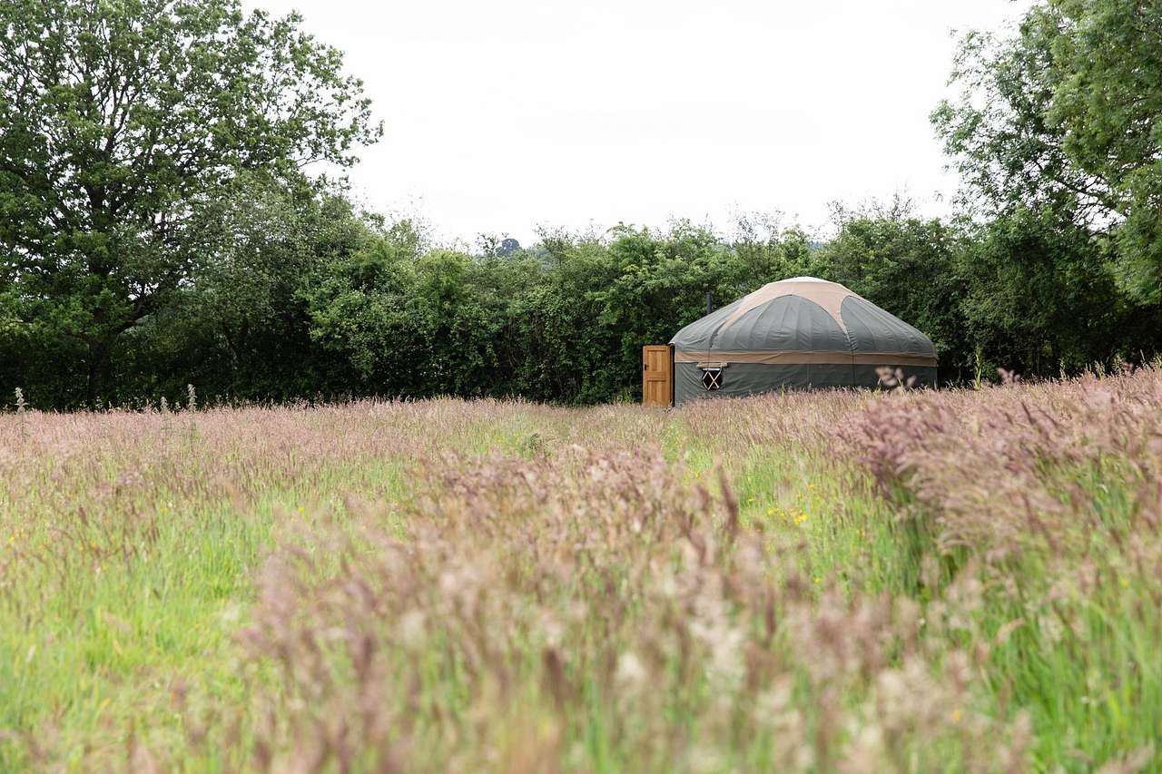 Surrey Hills Yurts