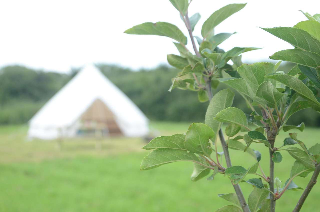 Chapter Farm Camping