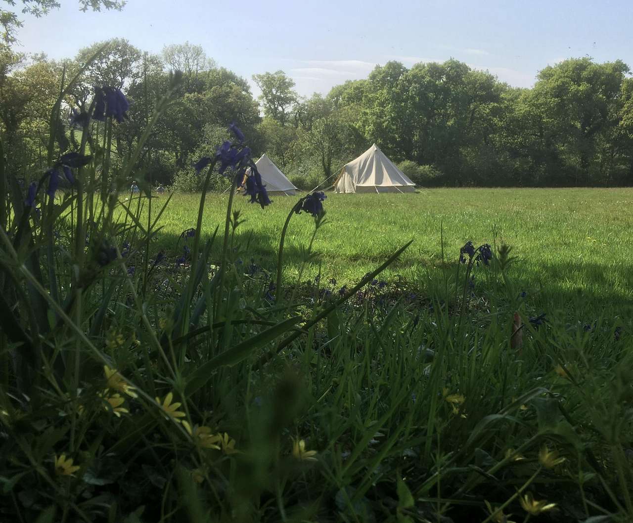 Old Hay Meadow
