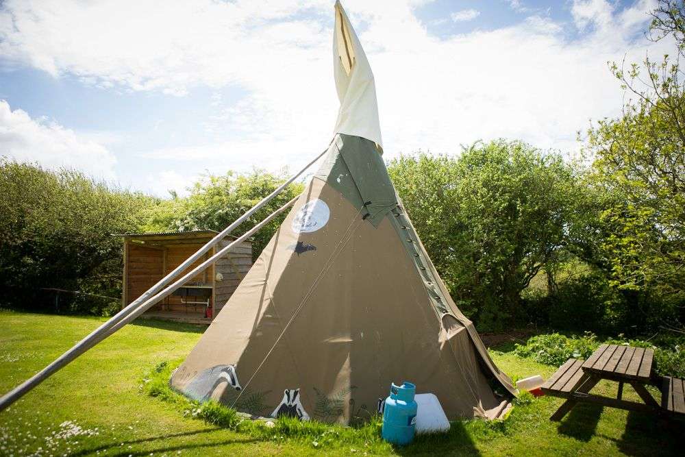 Large Tipi 10 - Village Field