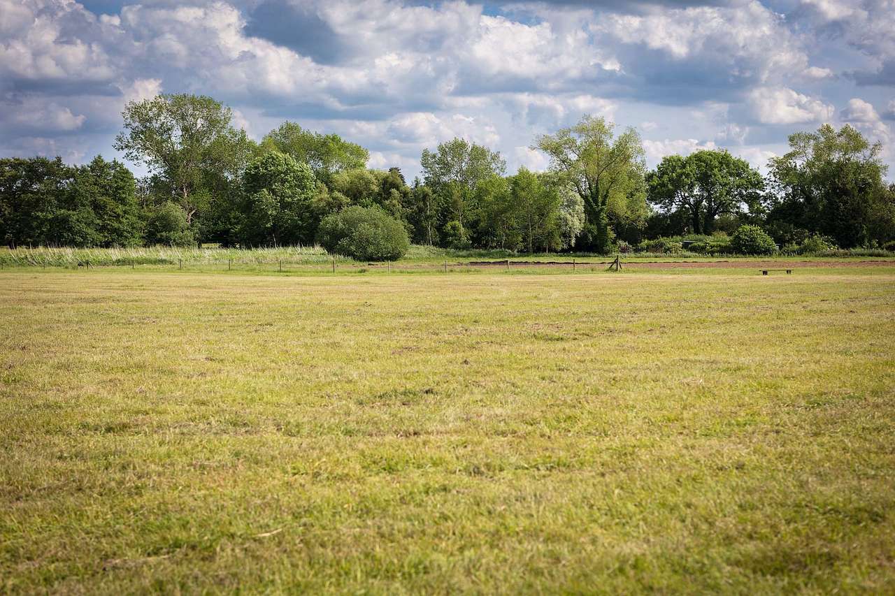 Grass Pitch 