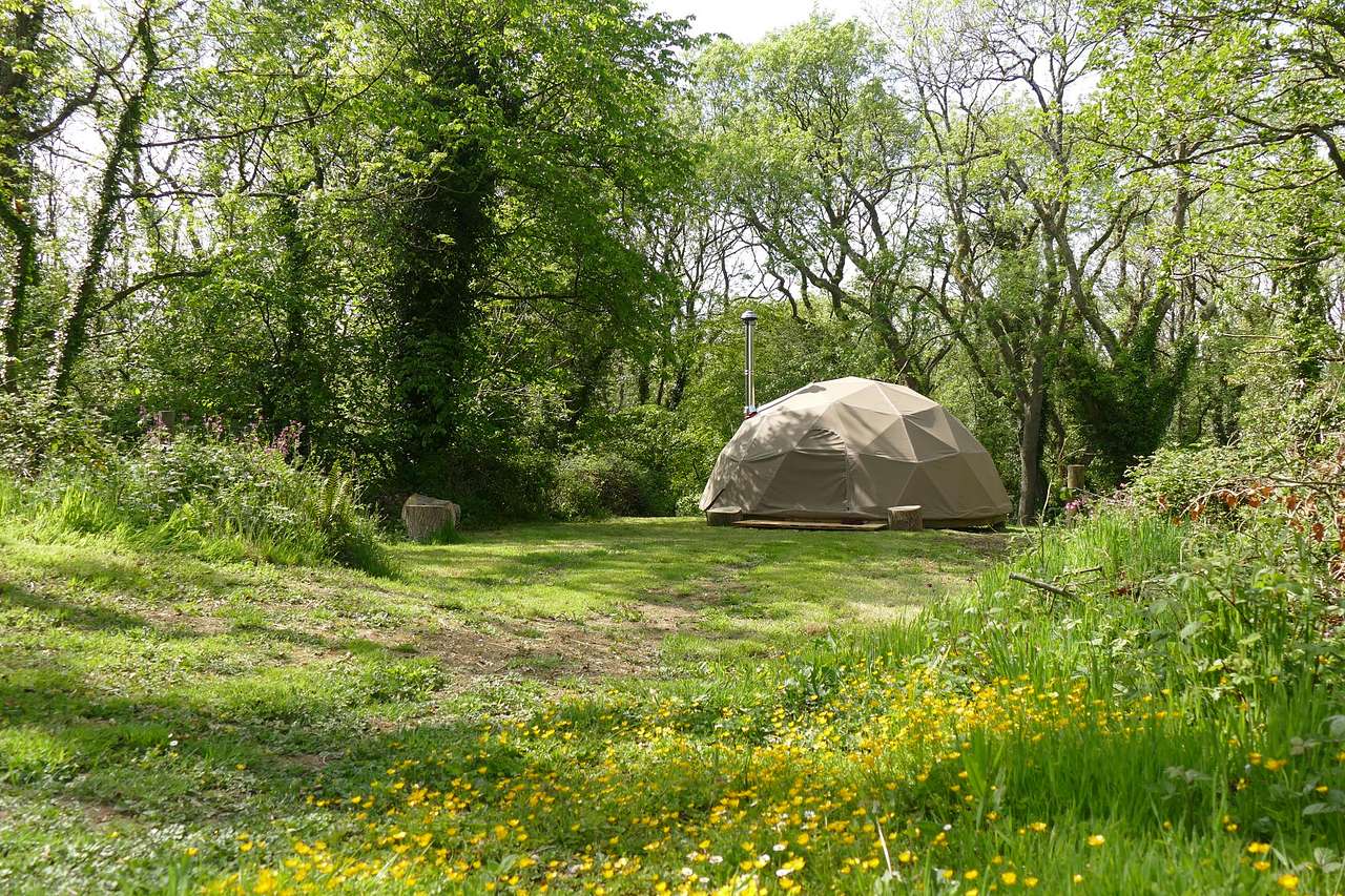 Geodesic Dome