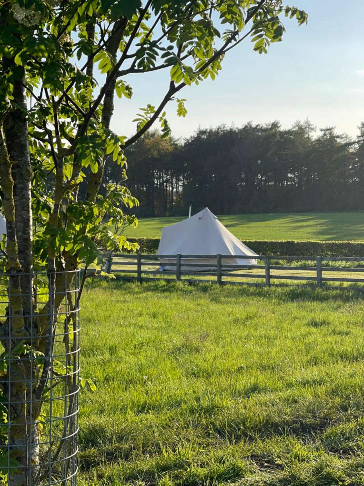 Bell Tent