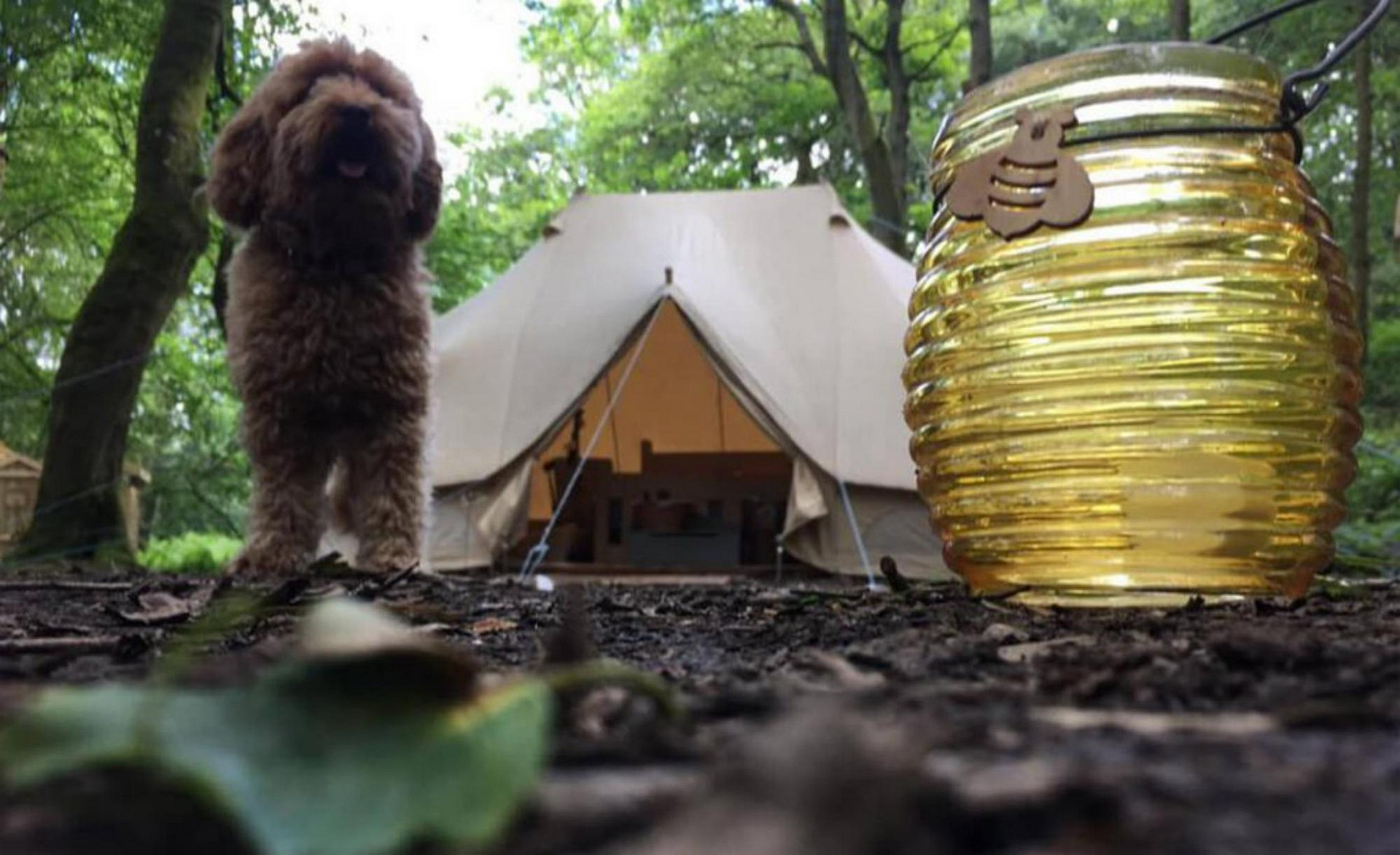 Emperor Bell Tent