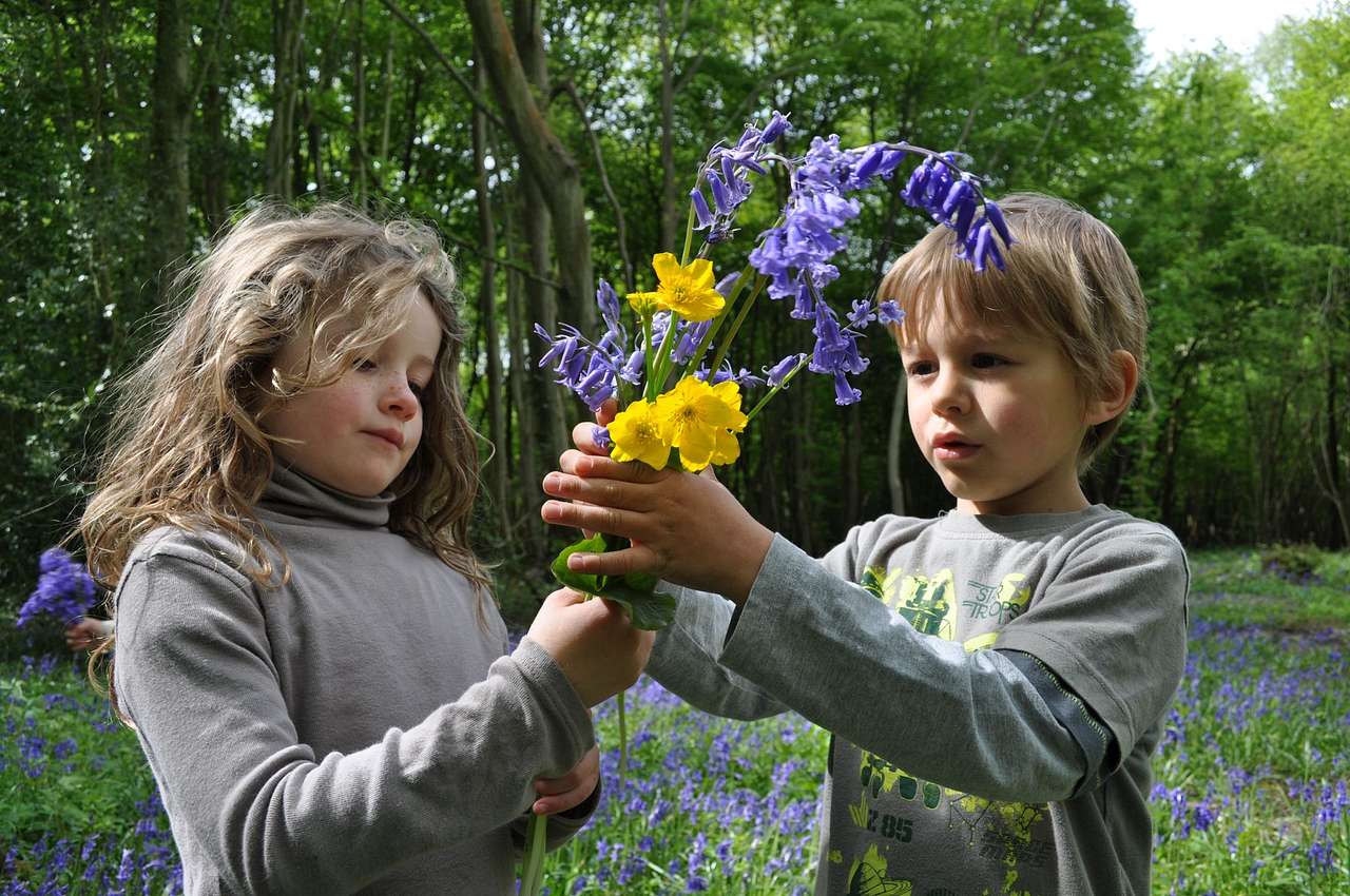 Secret, hidden camping gem, nestled sweetly in the Sussex Countryside