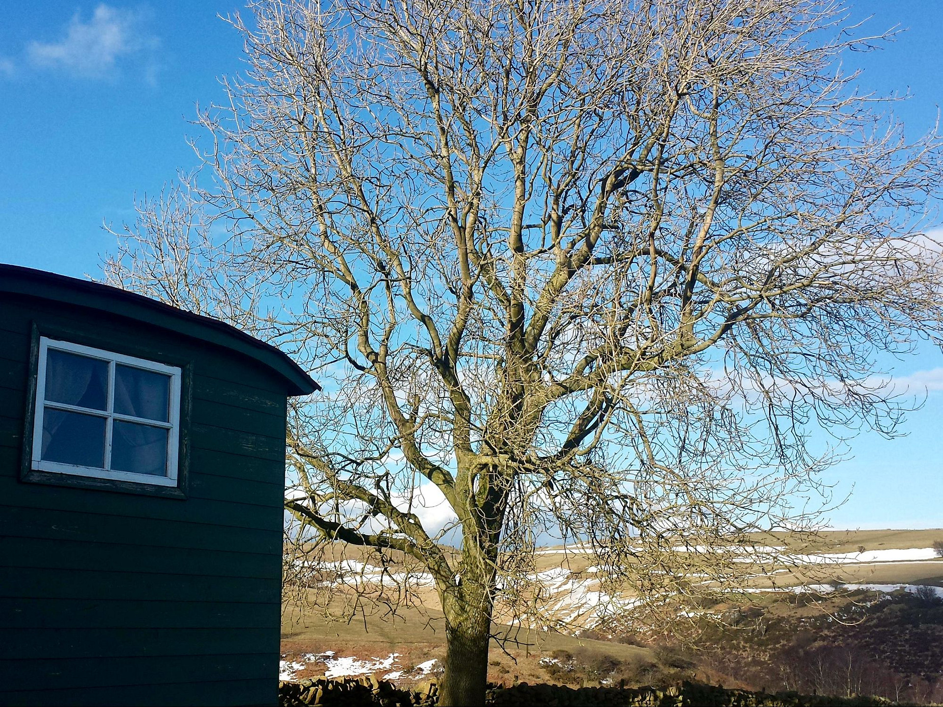 Sheep Dreams Shepherds Hut