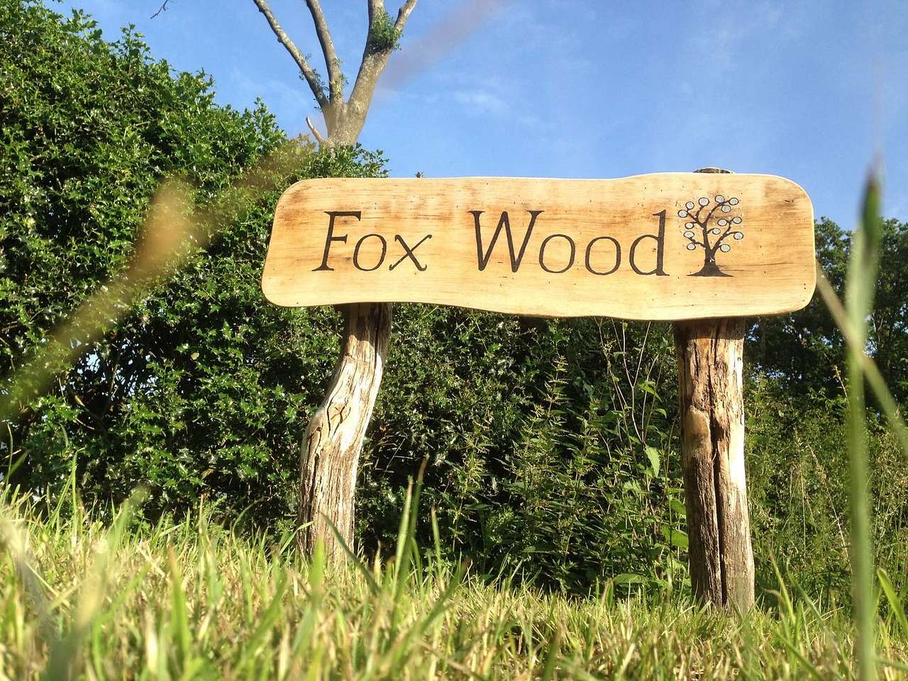 Fox Wood Camping