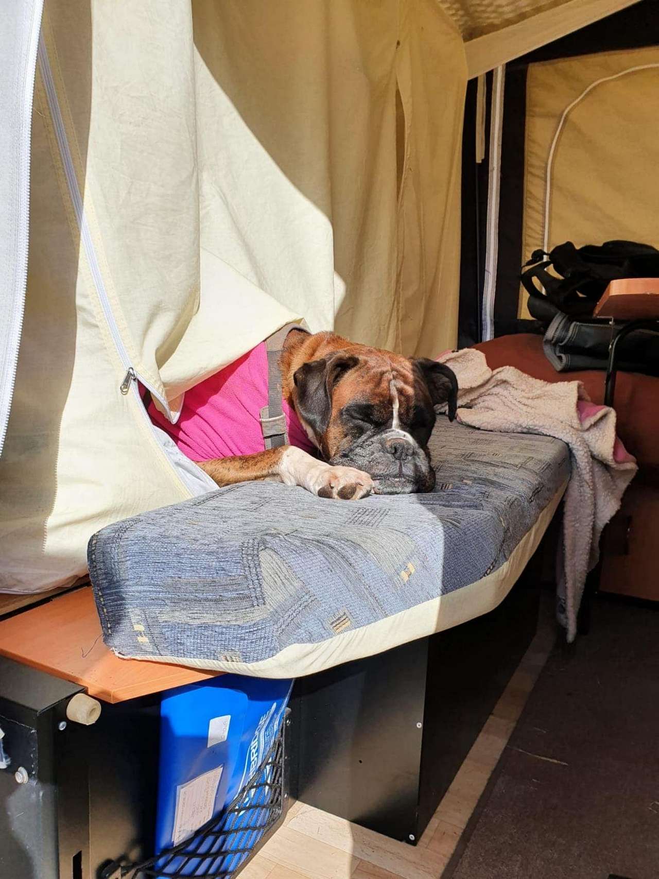 Camping Pitch